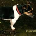 Photo of Tasha