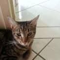 Photo of Blayney