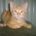 Photo of Clarence