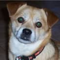Photo of Reggie