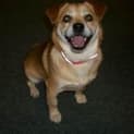 Photo of Reggie