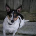 Photo of Holly