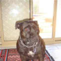 Photo of Jessie