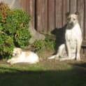 Photo of Lucy