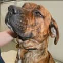 Photo of Nina   A4957
