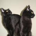 Photo of Ben & Toki