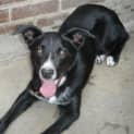 Photo of Jet