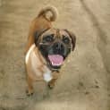 Photo of Tyson A5842