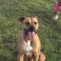 Photo of Wilma