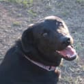 Photo of Roxy