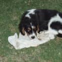 Photo of Tilt