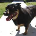 Photo of Molly