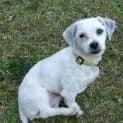 Photo of Wiggle