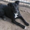 Photo of Missy
