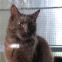 Photo of Maxine
