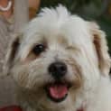 Photo of Lukie
