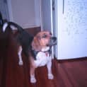 Photo of Milly (On Trial)