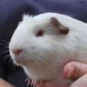 Photo of Crystal