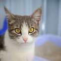 Photo of Duchess