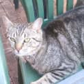 Photo of Tucker
