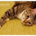 Photo of Holly