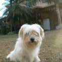 Photo of Fozzy
