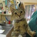 Photo of Tabitha