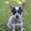 Photo of Chloe