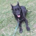 Photo of Sammy