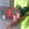 Photo of Ruby