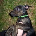 Photo of April (On Trial 25/10/12)