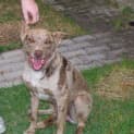 Photo of Floyd