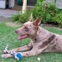 Photo of Floyd
