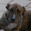 Photo of Praxis (Max)