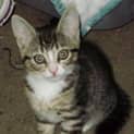 Photo of Noodles (Patrice)