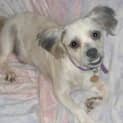 Photo of Digger