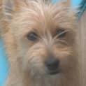 Photo of Rachel (Now Fleur)