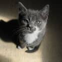 Photo of Edward