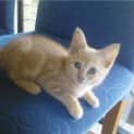Photo of Jose