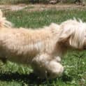 Photo of Ginto