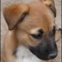 Photo of The 'S' Litter