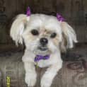 Photo of Kiera