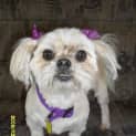 Photo of Kiera