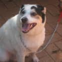 Photo of Tux