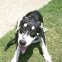 Photo of Marly