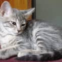 Photo of Sasha