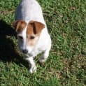 Photo of Sally