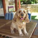 Photo of Holly