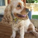 Photo of Holly
