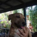 Photo of Sandy